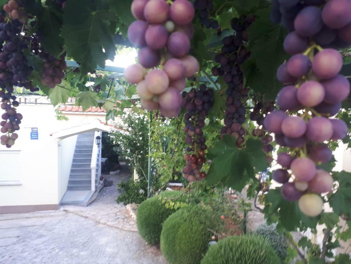 Apartmani Maja Kanica روغوزنيكا المظهر الخارجي الصورة