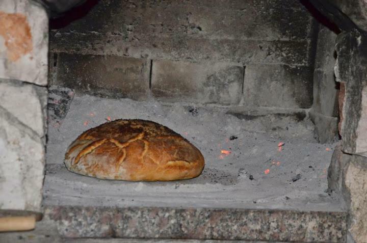 Apartmani Maja Kanica روغوزنيكا المظهر الخارجي الصورة